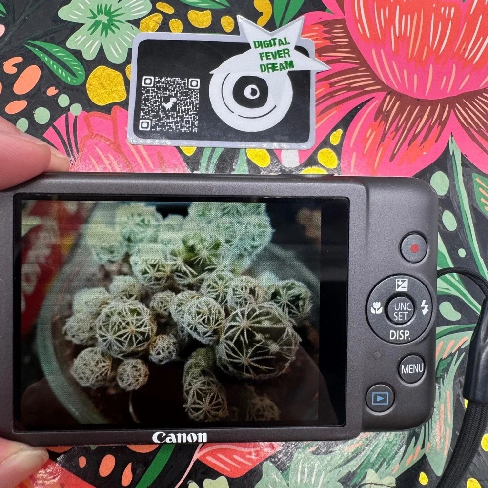 Canon PowerShot ELPH 100 HS 12.1MP Digital Camera Gray with Charger and Case